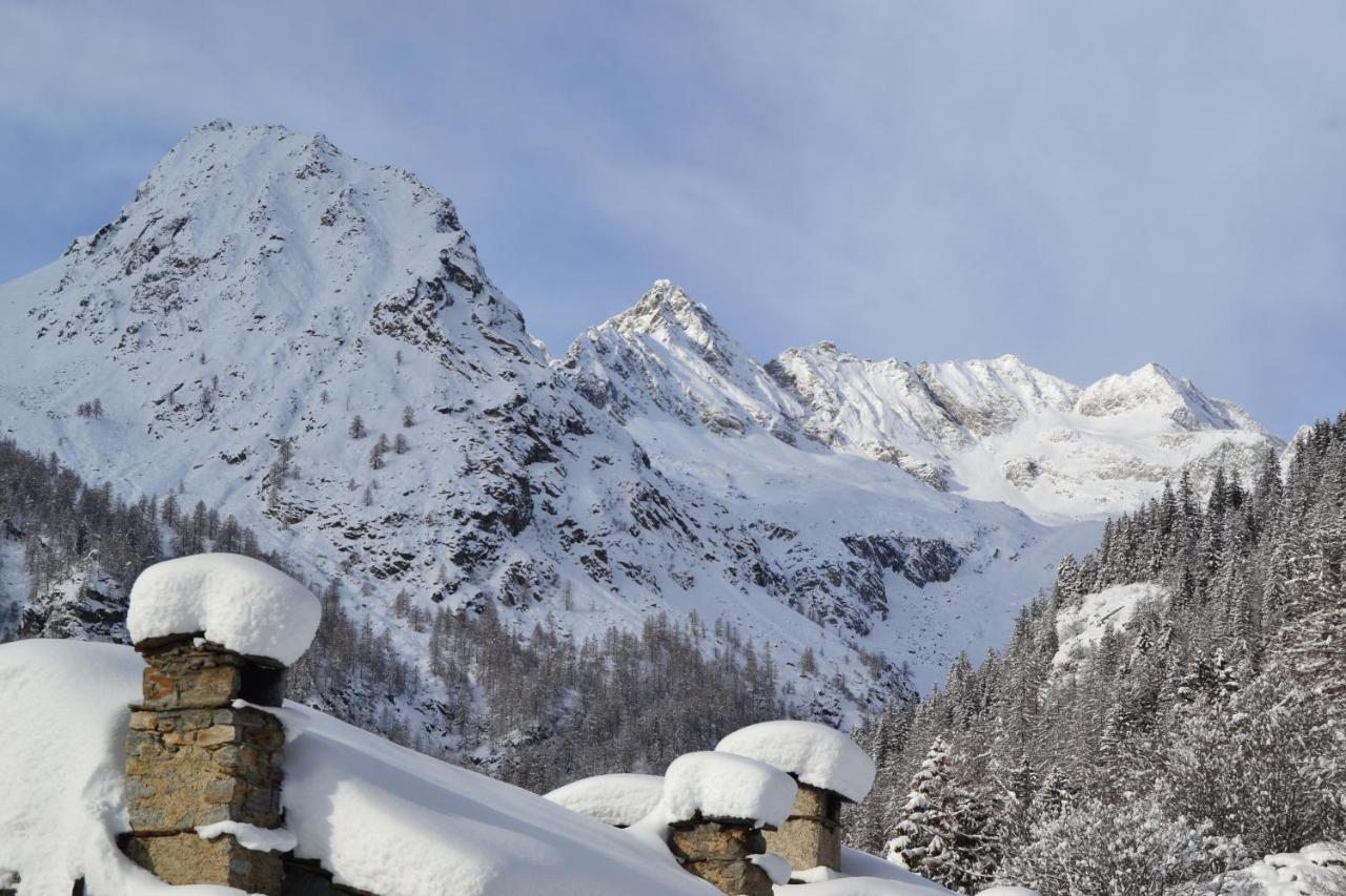 La Mura' - Il Vostro Posto Nel Gran Paradiso Ronco Canavese Zewnętrze zdjęcie