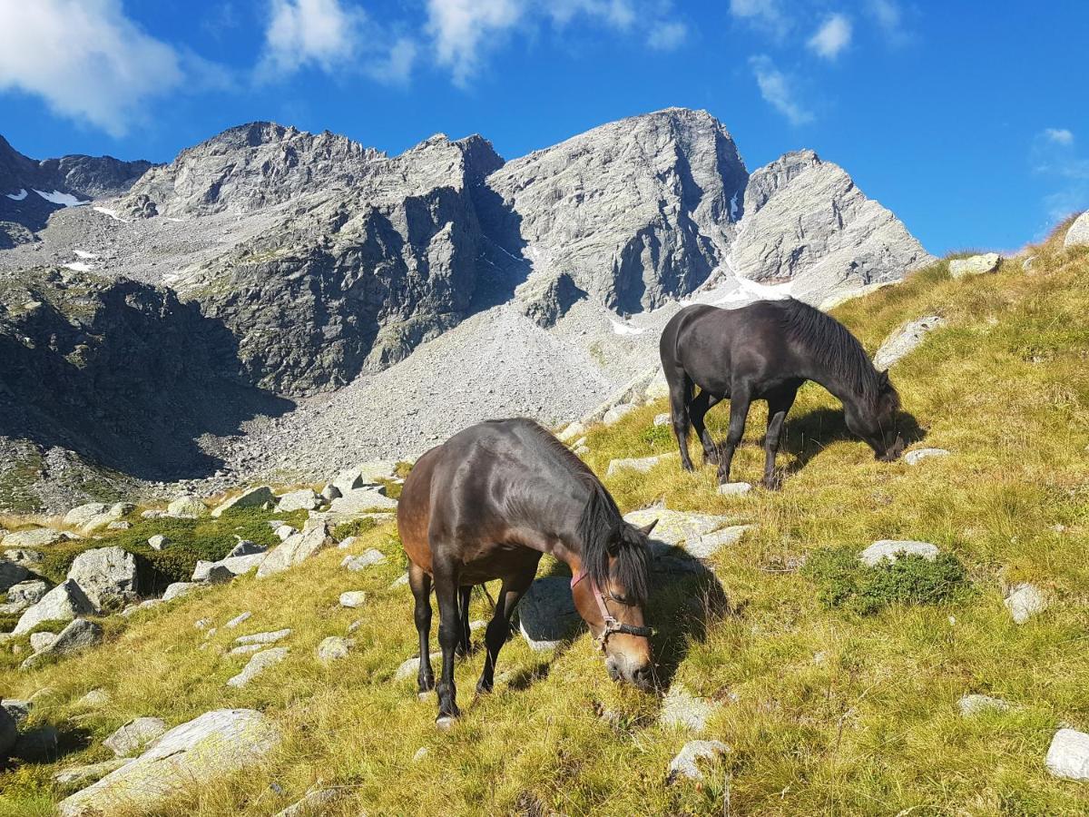La Mura' - Il Vostro Posto Nel Gran Paradiso Ronco Canavese Zewnętrze zdjęcie