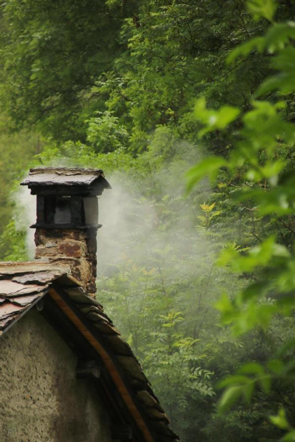 La Mura' - Il Vostro Posto Nel Gran Paradiso Ronco Canavese Zewnętrze zdjęcie