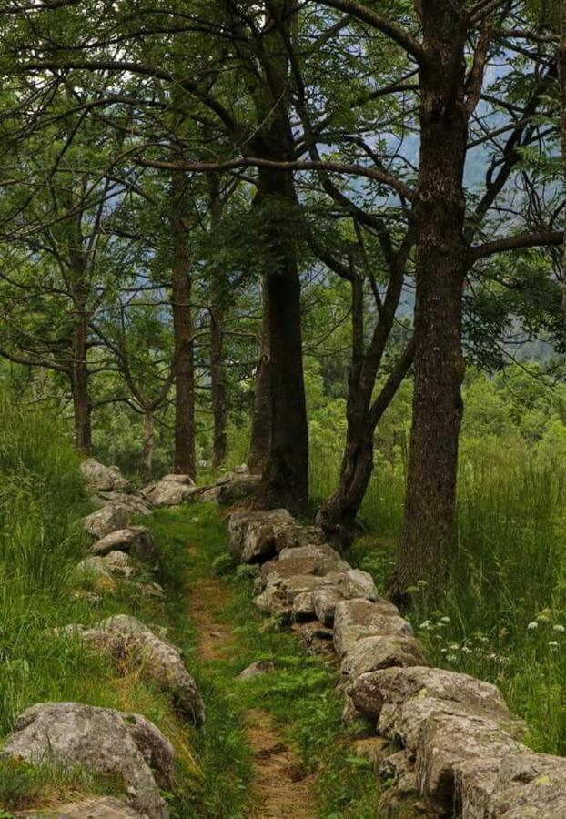 La Mura' - Il Vostro Posto Nel Gran Paradiso Ronco Canavese Zewnętrze zdjęcie