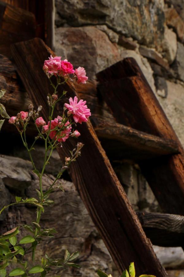 La Mura' - Il Vostro Posto Nel Gran Paradiso Ronco Canavese Zewnętrze zdjęcie