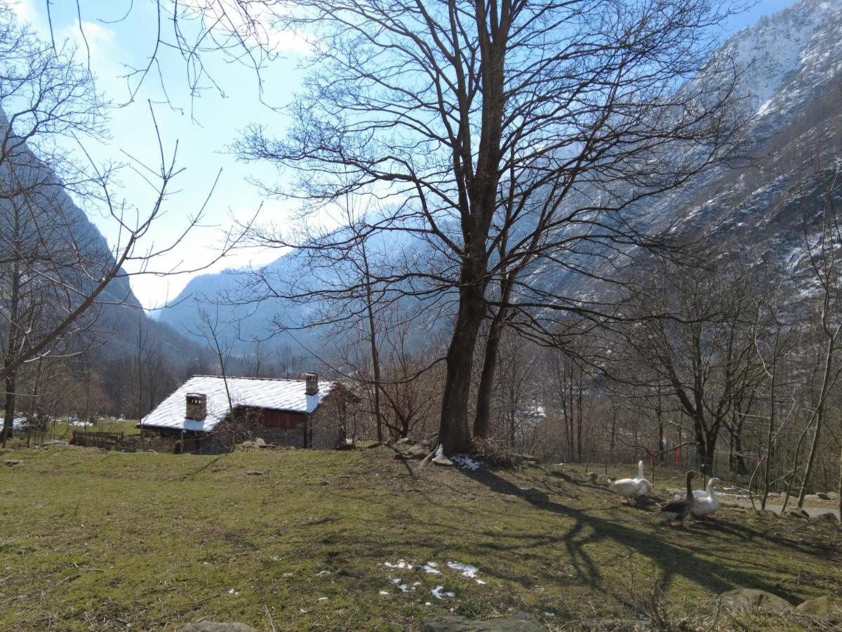 La Mura' - Il Vostro Posto Nel Gran Paradiso Ronco Canavese Zewnętrze zdjęcie