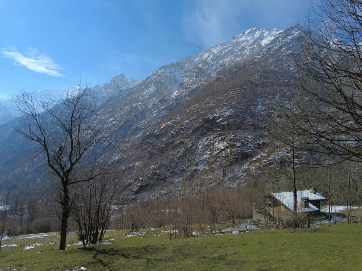 La Mura' - Il Vostro Posto Nel Gran Paradiso Ronco Canavese Zewnętrze zdjęcie