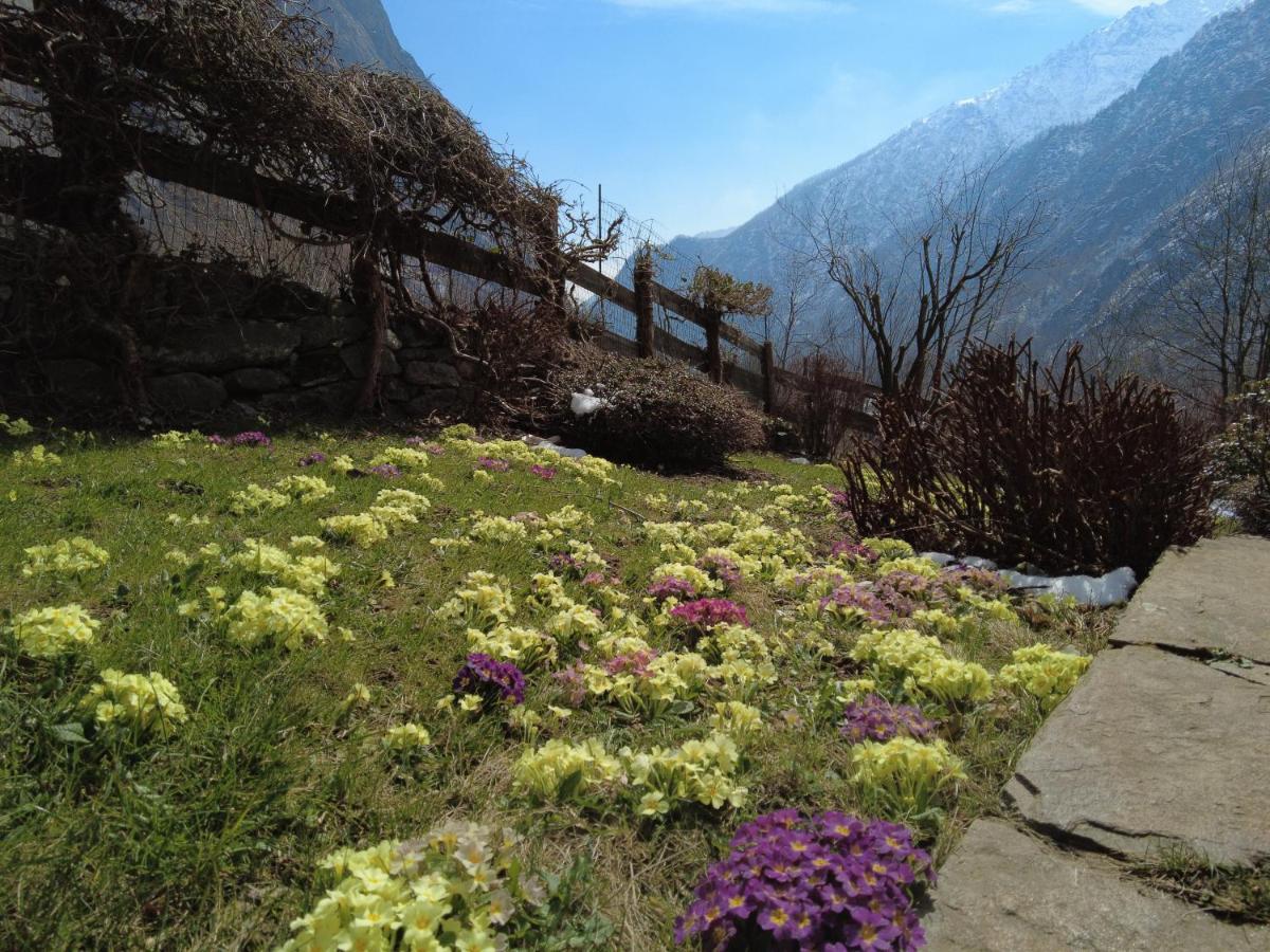 La Mura' - Il Vostro Posto Nel Gran Paradiso Ronco Canavese Zewnętrze zdjęcie