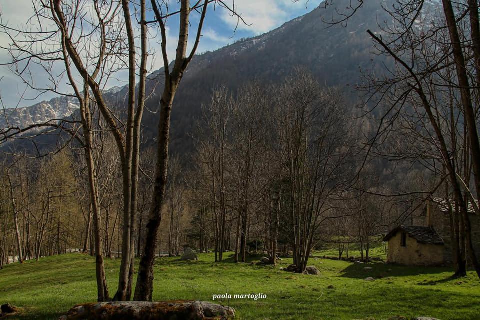 La Mura' - Il Vostro Posto Nel Gran Paradiso Ronco Canavese Zewnętrze zdjęcie