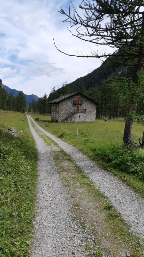 La Mura' - Il Vostro Posto Nel Gran Paradiso Ronco Canavese Zewnętrze zdjęcie
