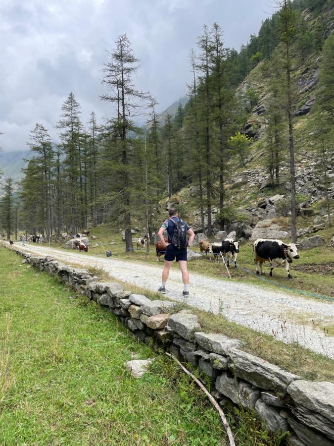 La Mura' - Il Vostro Posto Nel Gran Paradiso Ronco Canavese Zewnętrze zdjęcie